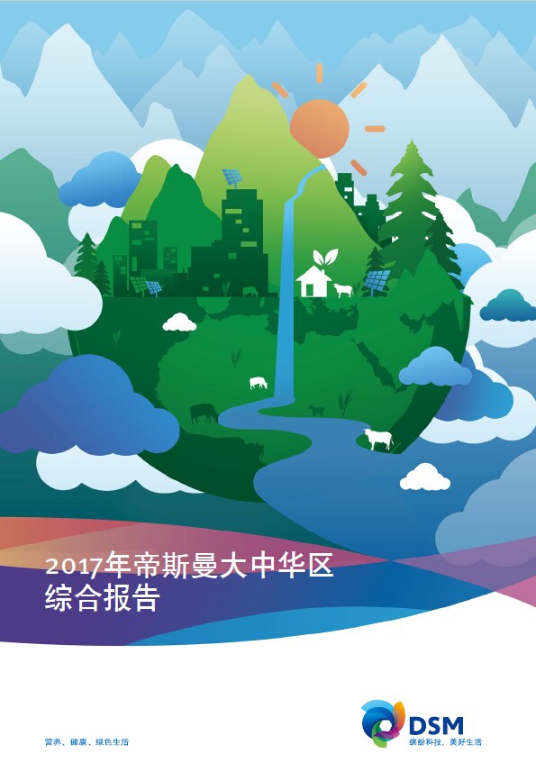 2017年帝斯曼大中华区综合报告